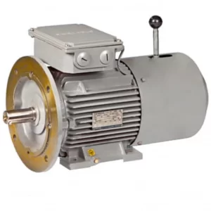 Electric Motor Brake​