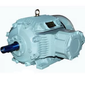 Explosion Proof Motor