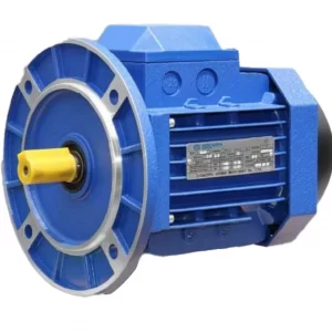 Flange mounted motor